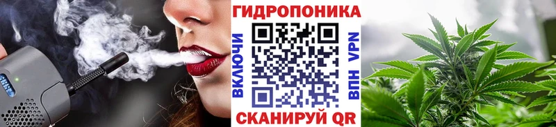 Где купить Полярный Кокаин  МАРИХУАНА  Галлюциногенные грибы  Метадон  Мефедрон  СОЛЬ  ГАШ 