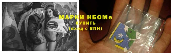 сатива Аркадак