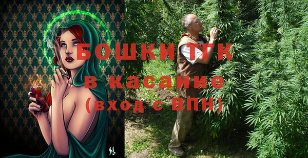 сатива Аркадак
