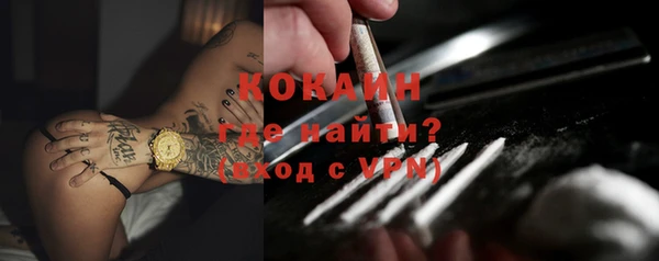 сатива Аркадак
