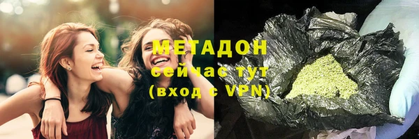 сатива Аркадак