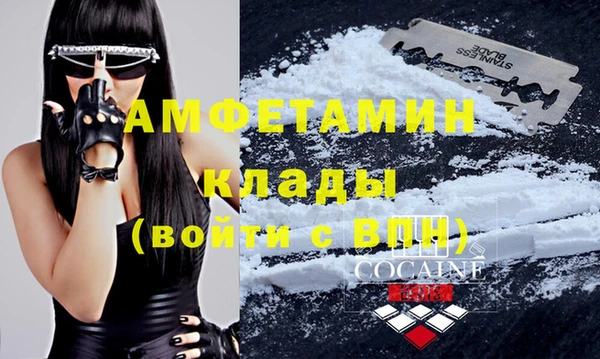 сатива Аркадак